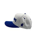 Palistrong Snapback Cap